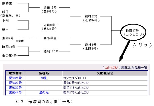 図2 系譜図の表示例(一部)