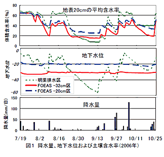 図1 降水量、地下水位および土壌含水率(2006年)