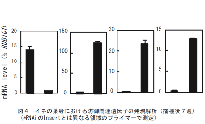 図4、イネの葉身における防御関連遺伝子の発現解析(播種後7週)