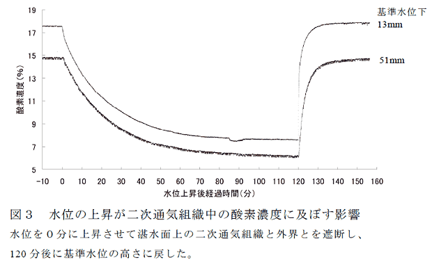 図3 水位の上昇が二次通気組織中の酸素濃度に及ぼす影響