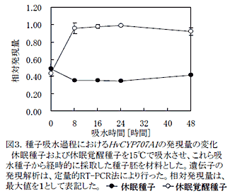 図3.種子吸水過程におけるHvCYP707A1の発現量の変化