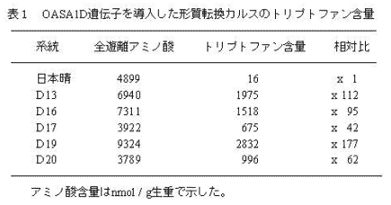 表1.OASA1D遺伝子を導入した形質転換カルスのトリプトファン含量