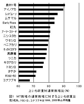 図1 MT栽培の通常栽培に対する上いも収量比