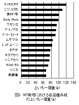 図3 MT栽培における各品種系統の上いも一個重