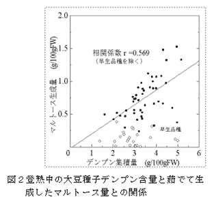 図2登熟中の大豆種子デンプン含量と茹でて生成したマルトース量との関係