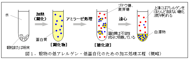 図1.穀物の低アレルゲン・低蛋白化のための加工処理工程(概略)