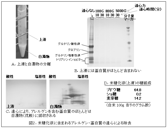 図2.米糖化液に含まれるアレルゲン・蛋白質の遠心による除去