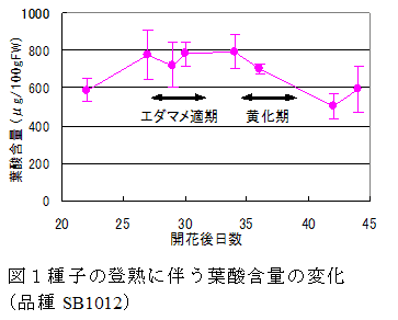 図1種子の登熟に伴う葉酸含量の変化(品種SB1012)