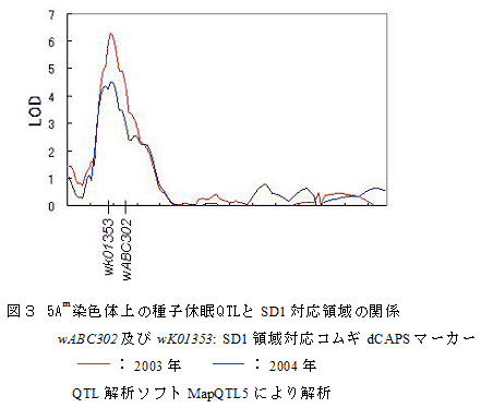 図3 5Am染色体上の種子休眠QTLとSD1対応領域の関係