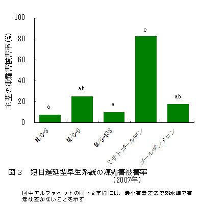 図3 短日遅延型早生系統の凍霜害被害率(2007年)