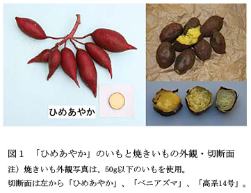 図1 「ひめあやか」のいもと焼きいもの外観・切断面