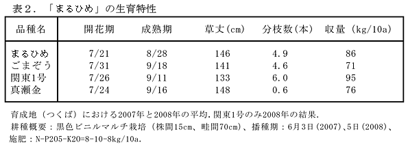 表2.「まるひめ」の生育特性