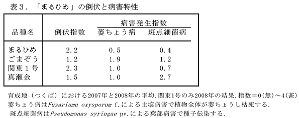 表3.「まるひめ」の倒伏と病害特性