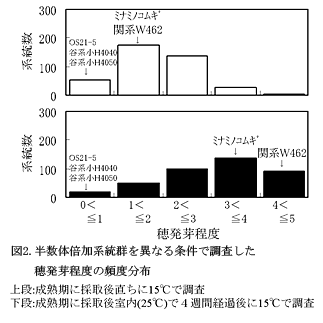 図2.半数体倍加系統群を異なる条件で調査した穂発芽程度の頻度分布