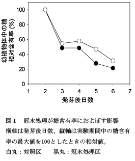 図1冠水処理が糖含有率におよぼす影響横軸は発芽後日数、縦軸は実験期間中の糖含有率の最大値を100としたときの相対値。 白丸:対照区黒丸:冠水処理区