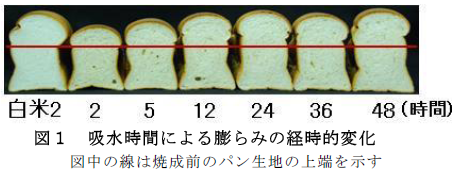 吸水時間による膨らみの経時的変化