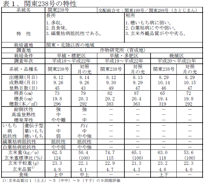 関東238号の特性