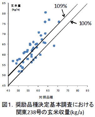 奨励品種決定基本調査における 関東238号の玄米収量(kg/a)