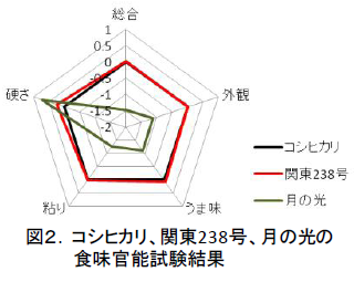 コシヒカリ、関東238号、月の光の 食味官能試験結果