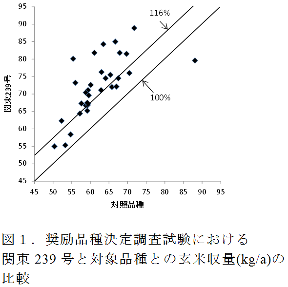 奨励品種決定調査試験における 関東239 号と対象品種との玄米収量(kg/a)の 比較