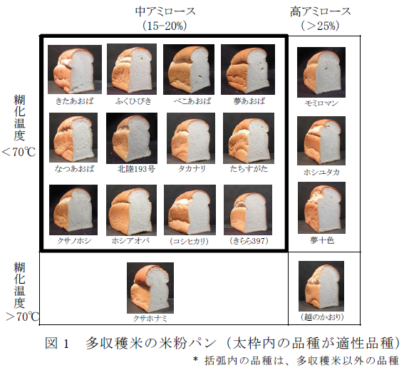 多収穫米の米粉パン(太枠内の品種が適性品種)