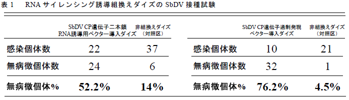 RNA サイレンシング誘導組換えダイズのSbDV 接種試験