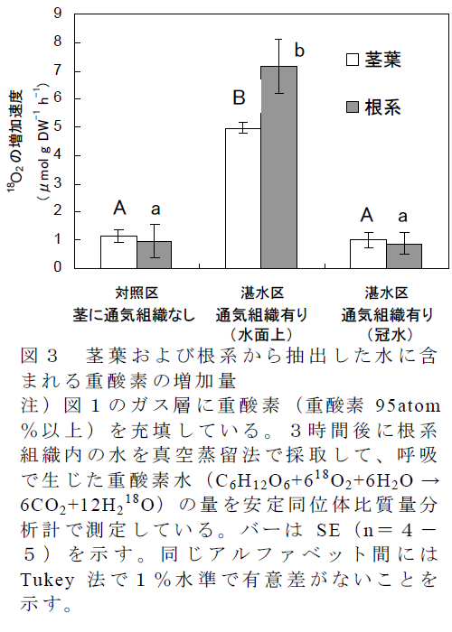 茎葉および根系から抽出した水に含 まれる重酸素の増加量