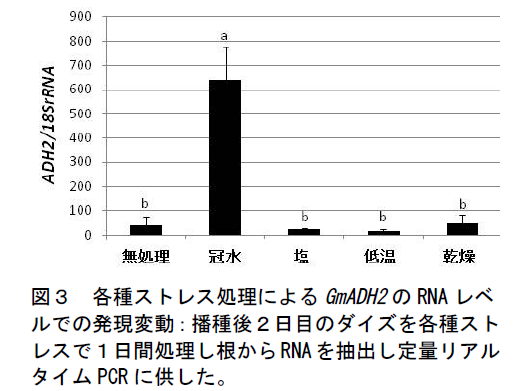 各種ストレス処理によるGmADH2 のRNA レベ ルでの発現変動