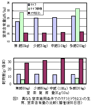 図1.異なる窒素施用条件でのケナフとトウモロコシの生育、窒素含有量の比較