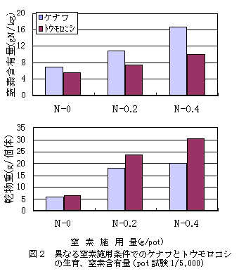 図2.異なる窒素施用条件でのケナフとトウモロコシの生育、窒素含有量