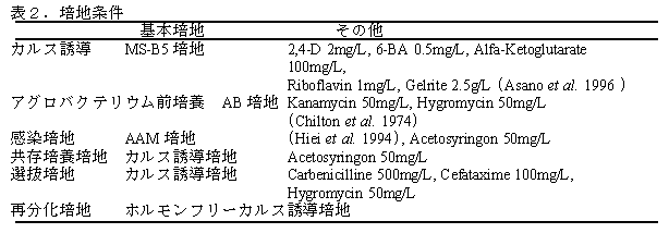 表2.培地条件