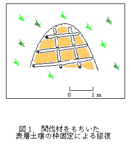 図1 間伐材をもちいた 表層土壌の枠固定による修復