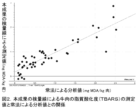 図2 本成果の検量線による牛肉の脂質酸化度(TBARS)の測定値と常法による分析値との関係