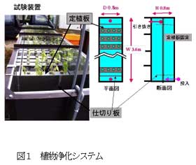 図1 植物浄化システム