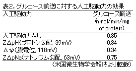 表2.グルコース輸送に対する人工駆動力の効果