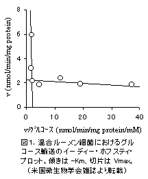 1.混合ルーメン細菌におけるグルコース輸送のイーディー・ホフスティ・プロット。傾きは -Km、切片は Vmax。