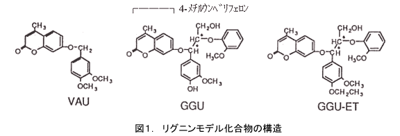 図1.リグニンモデル化合物の構造(欧州微生物学会連合雑誌より転載)