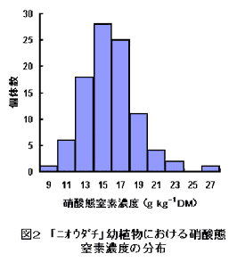 図2 「ニオウダチ」幼植物における硝酸態窒素濃度の分布