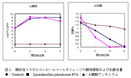 図1. 開封後トウモロコシロールベールサイレージの酵母菌数および乳酸含量