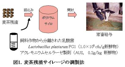 図1.麦茶残渣サイレージの調製法