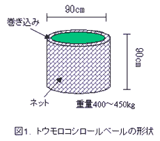 図1 トウモロコシロールベールの形状
