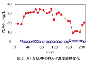 図3 AT&ED中のPO4-P濃度経時変化