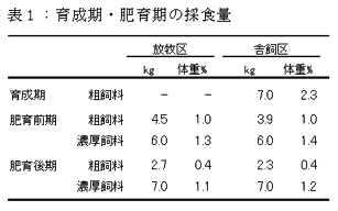 表1:育成期・肥育期の採食量