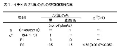 表1 イチビのさく果の色の交雑実験結果