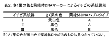 表2 さく果の色と葉緑体DNあマーカーによるイチビの系統識別