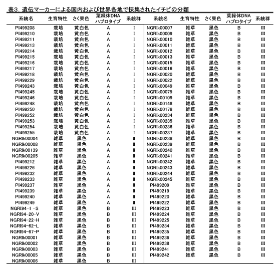 表3 遺伝マーカーによる国内および世界各地で採集されたイチビの分類