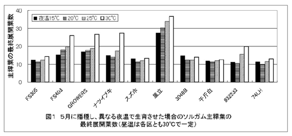 図1 5月に播種し、異なる夜温で生育させた場合のソルガム主稈葉の最終展開葉数