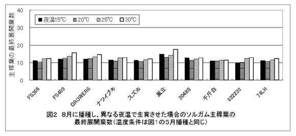図2 8月には種子、異なる夜温で生育させたソルガム主稈葉の最終展開葉数