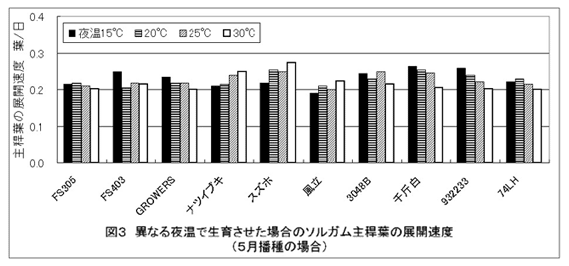 図3 異なる夜温で生育させた場合のソルガム主稈葉の展開葉数