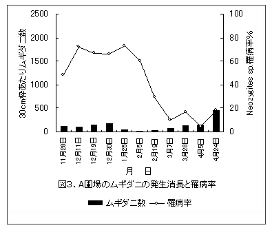 図3.A圃場のムギダニの発生消長と罹病率